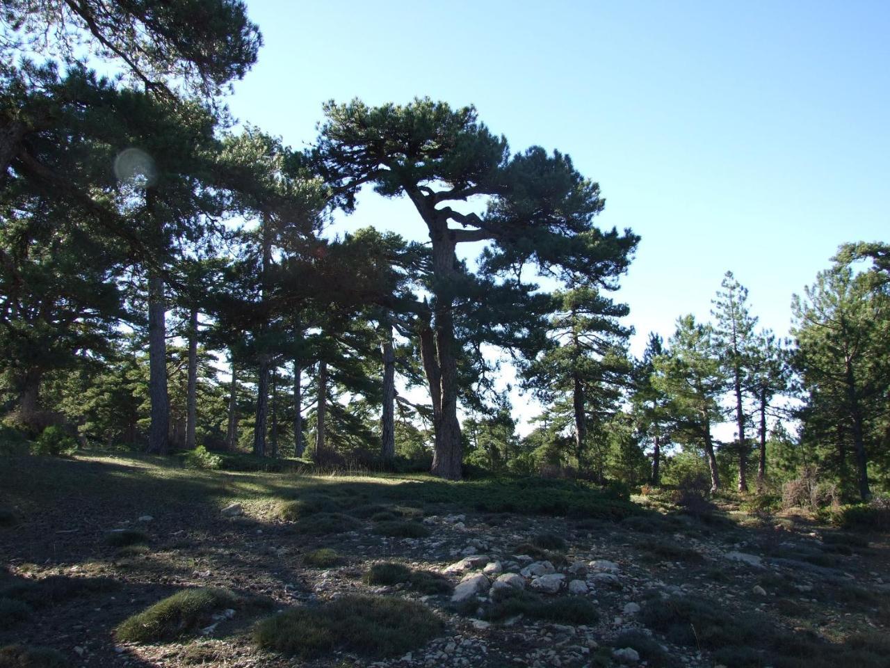 Cabanas Cortijo El Helao Pozo Alcon Luaran gambar